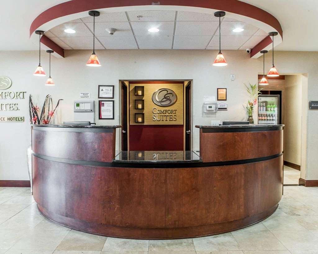 格林斯伯勒体育馆区万枫套房酒店 内观 照片